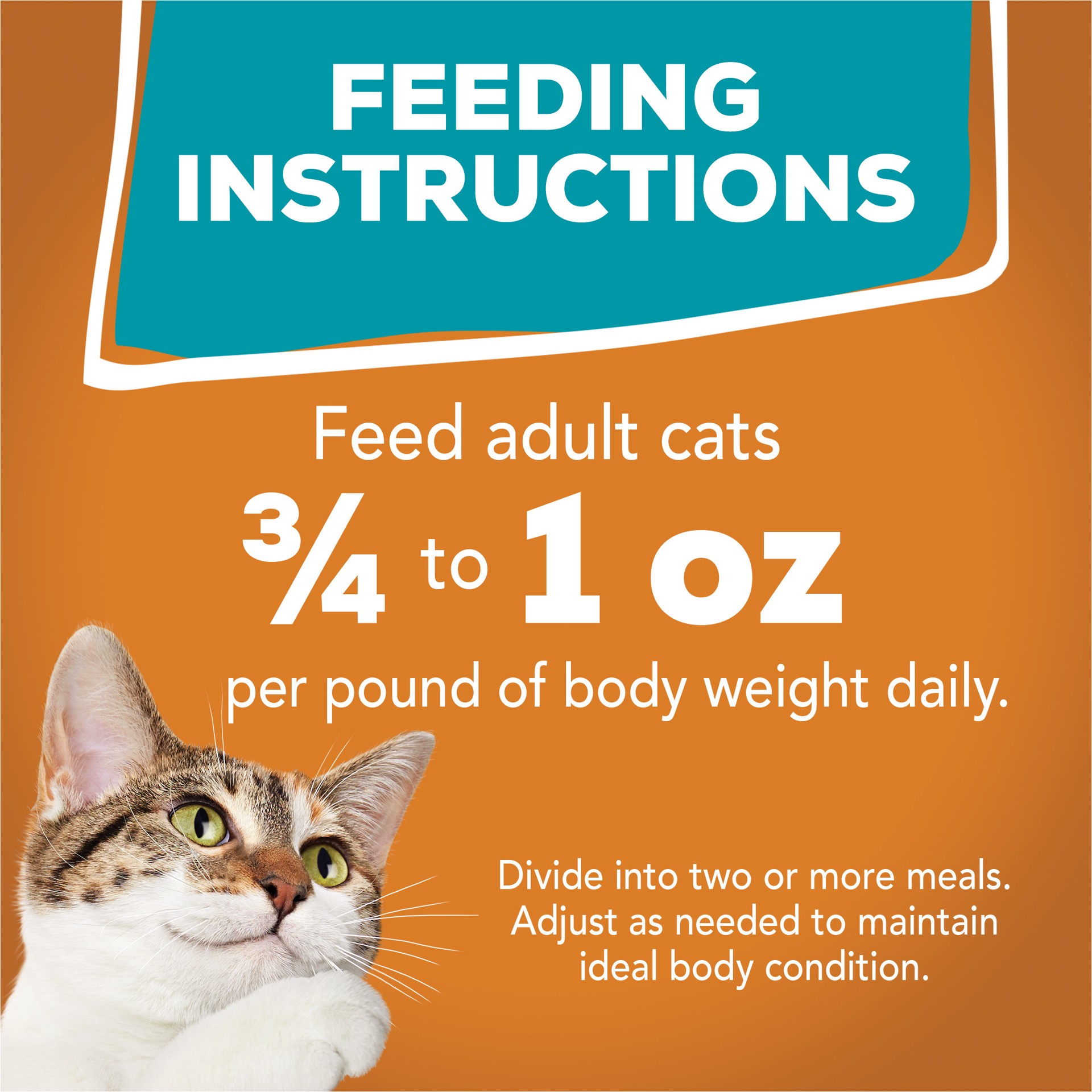 slide 4 of 7, Friskies Purina Friskies Gravy Wet Cat Food, Tasty Treasures With Chicken & Liver, 5.5 oz