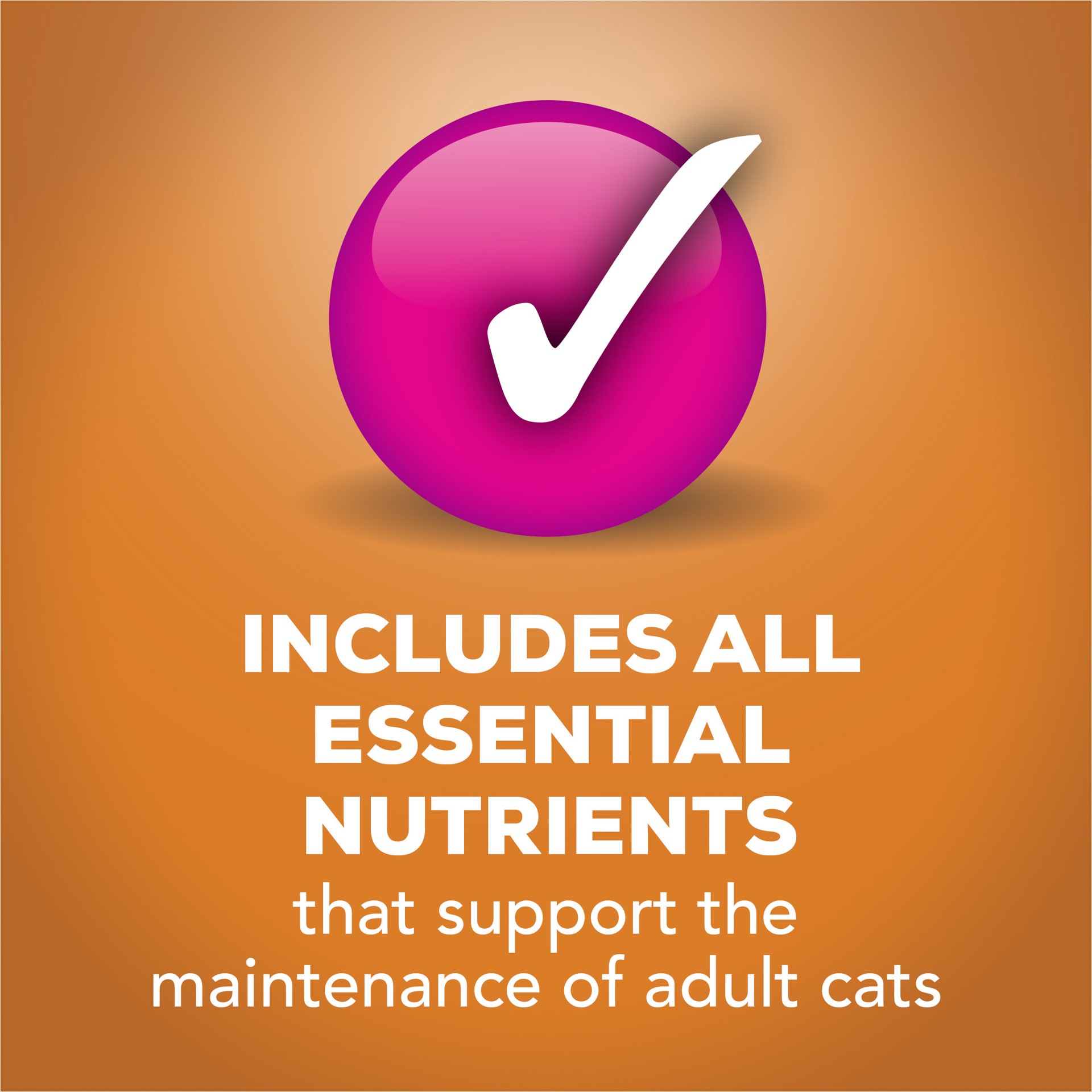 slide 6 of 7, Friskies Purina Friskies Gravy Wet Cat Food, Tasty Treasures With Chicken & Liver, 5.5 oz