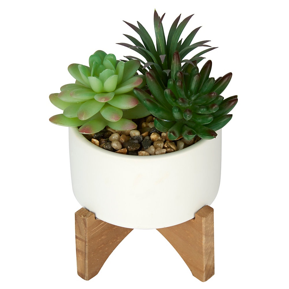 slide 1 of 1, Office Depot 4''H Rubber Artificial Mixed Succulent With Stand, 4'' X 4-1/2'', White/Natural, 1 ct
