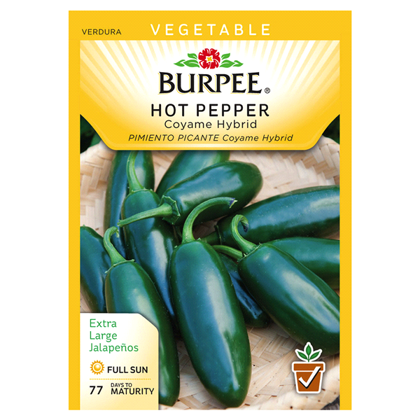 slide 1 of 1, Burpee Hot Pepper Coyame Hybrid Seeds, 1 ct