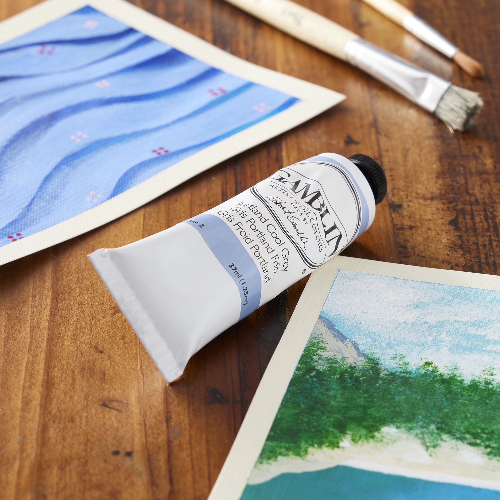 slide 2 of 2, Gamblin Artist Grade Oil Colors, 37ml, 37 ml