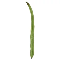 Steam Green Beans