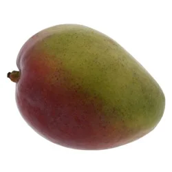 Organically Grown Mangoes