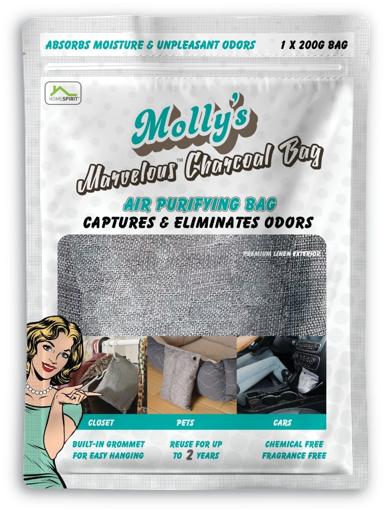 slide 1 of 1, Molly's Marvelous Charcoal Air Purifying Bag, 1 ct