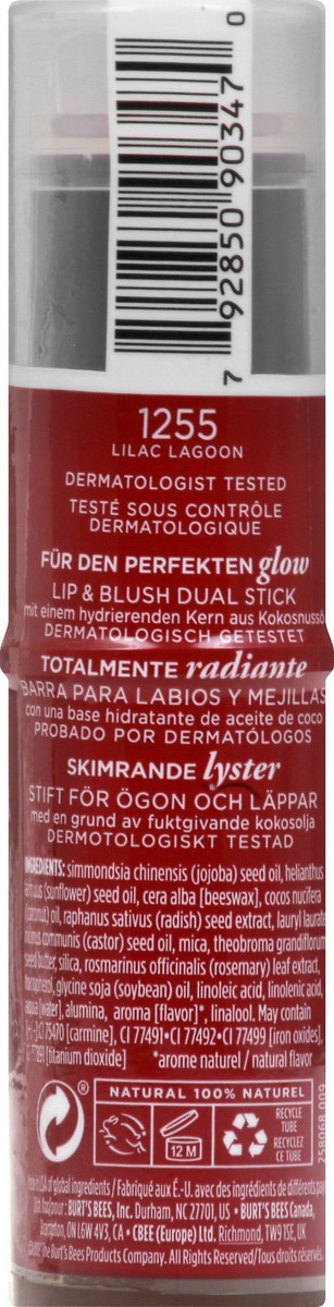 slide 3 of 7, Burt's Bees Lip & Cheek Stick 0.32 oz, 0.32 oz