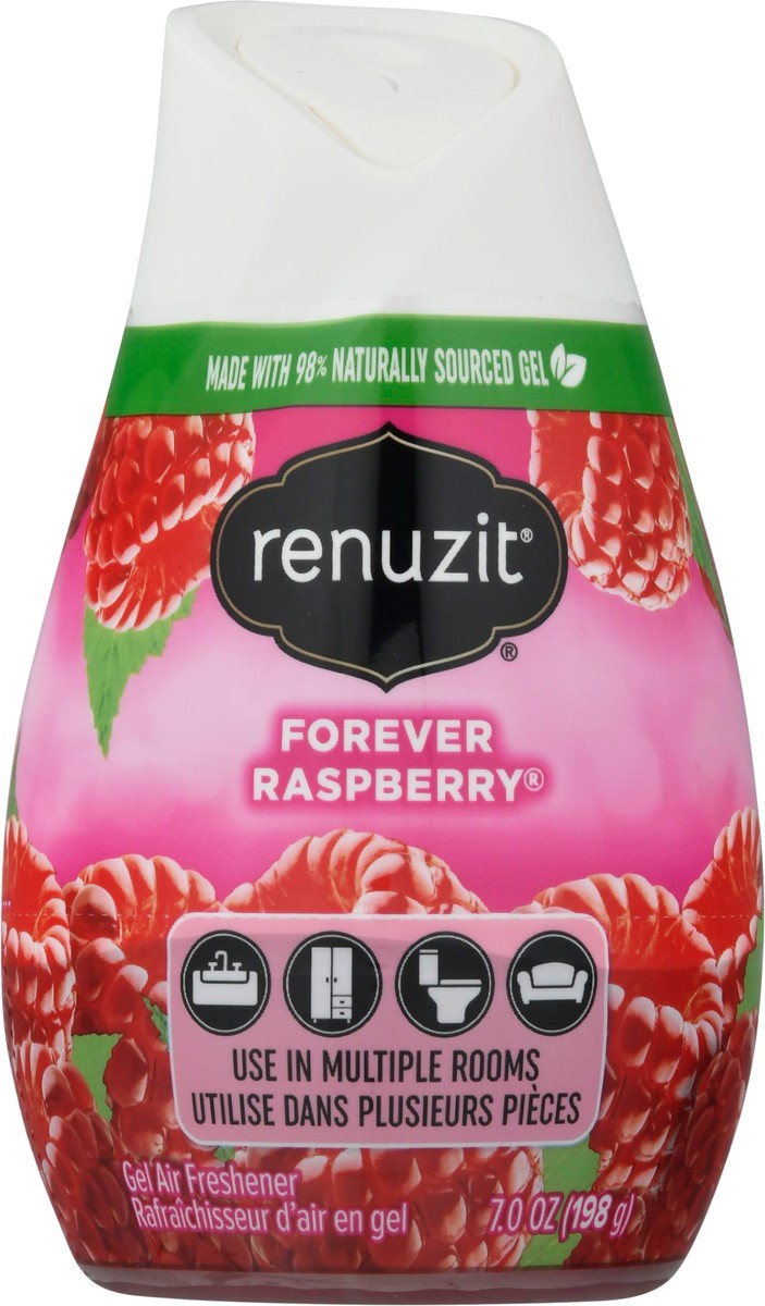 slide 2 of 13, Renuzit® air freshener, Forever Raspberry®, 1 ct