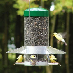 BIRDS CHOICE Bird's Choice 12 inch Classic Hanging Bird Feeder