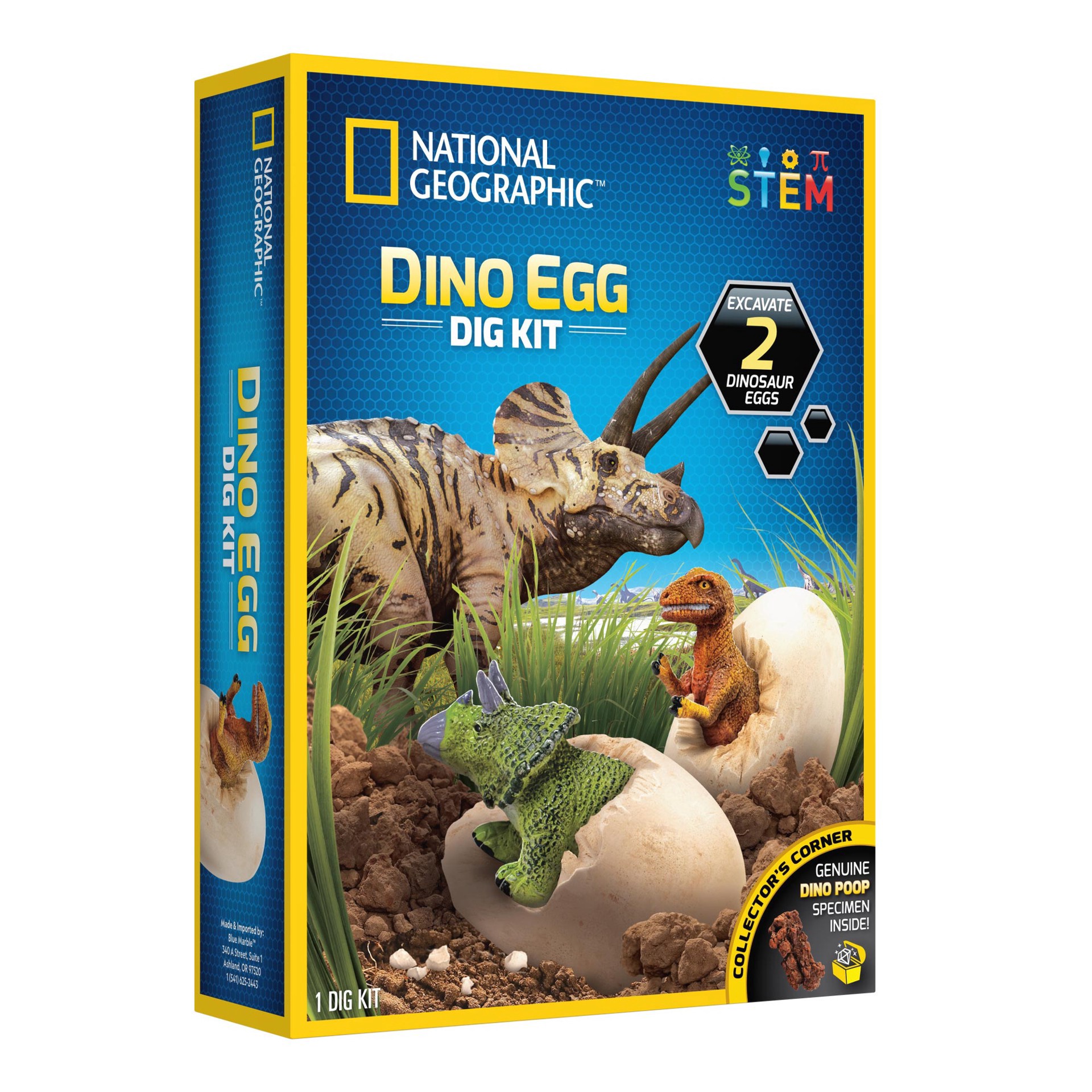 slide 2 of 5, National Geographic Dino Egg Dig Kit 1 Kit, 1 ct