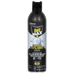 Raid Max Foaming Wasp & Hornet 16.5 Oz - 16.5 OZ