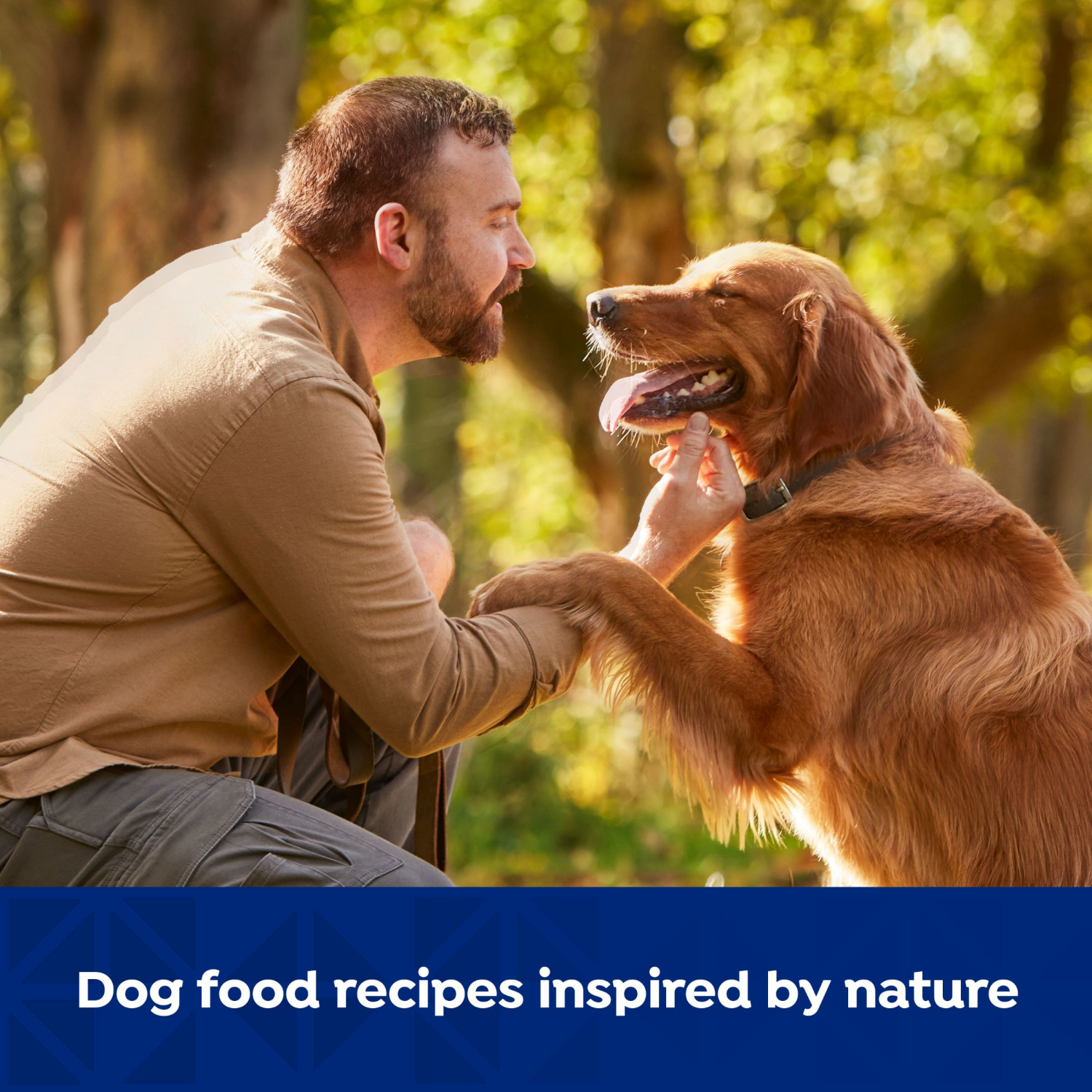 slide 6 of 6, NATURES RECIPE Nature's Recipe Grain Free Beef, Sweet Potato, & Pumpkin Recipe Wet Dog Food, 13 oz. Can, 13 oz