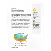 slide 5 of 5, Burpee Brussels Sprouts Long Island Improved Seeds, 1 ct