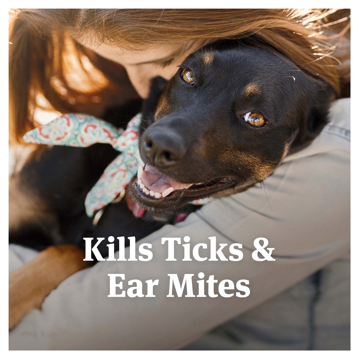 slide 2 of 4, PetArmor Ear Mite/Tick Treatment Dog 3OZ, 3 fl oz