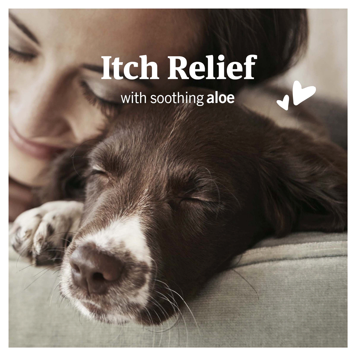 slide 3 of 4, PetArmor Ear Mite/Tick Treatment Dog 3OZ, 3 fl oz