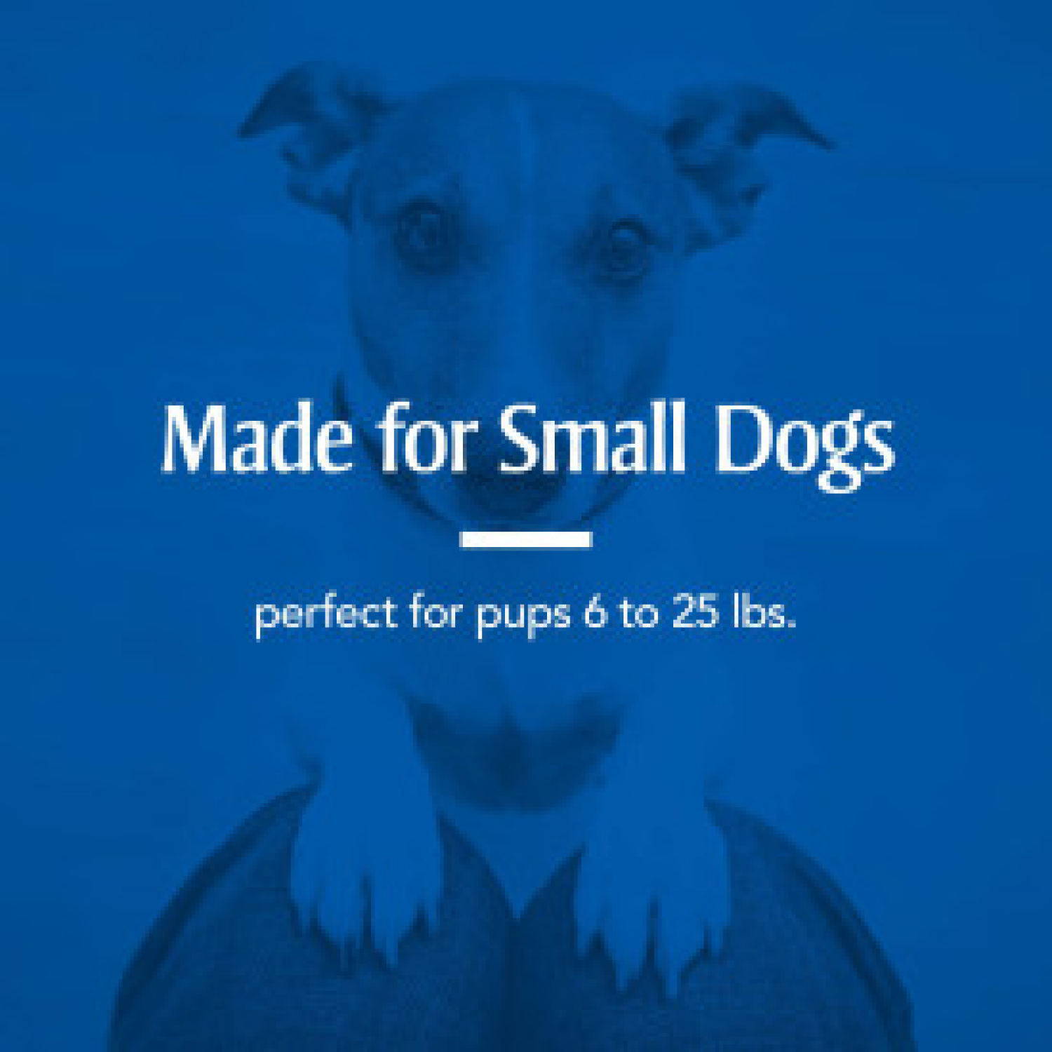 slide 5 of 7, Pa 7 Way Sm Dewormer Dog 2Ct, 2 ct