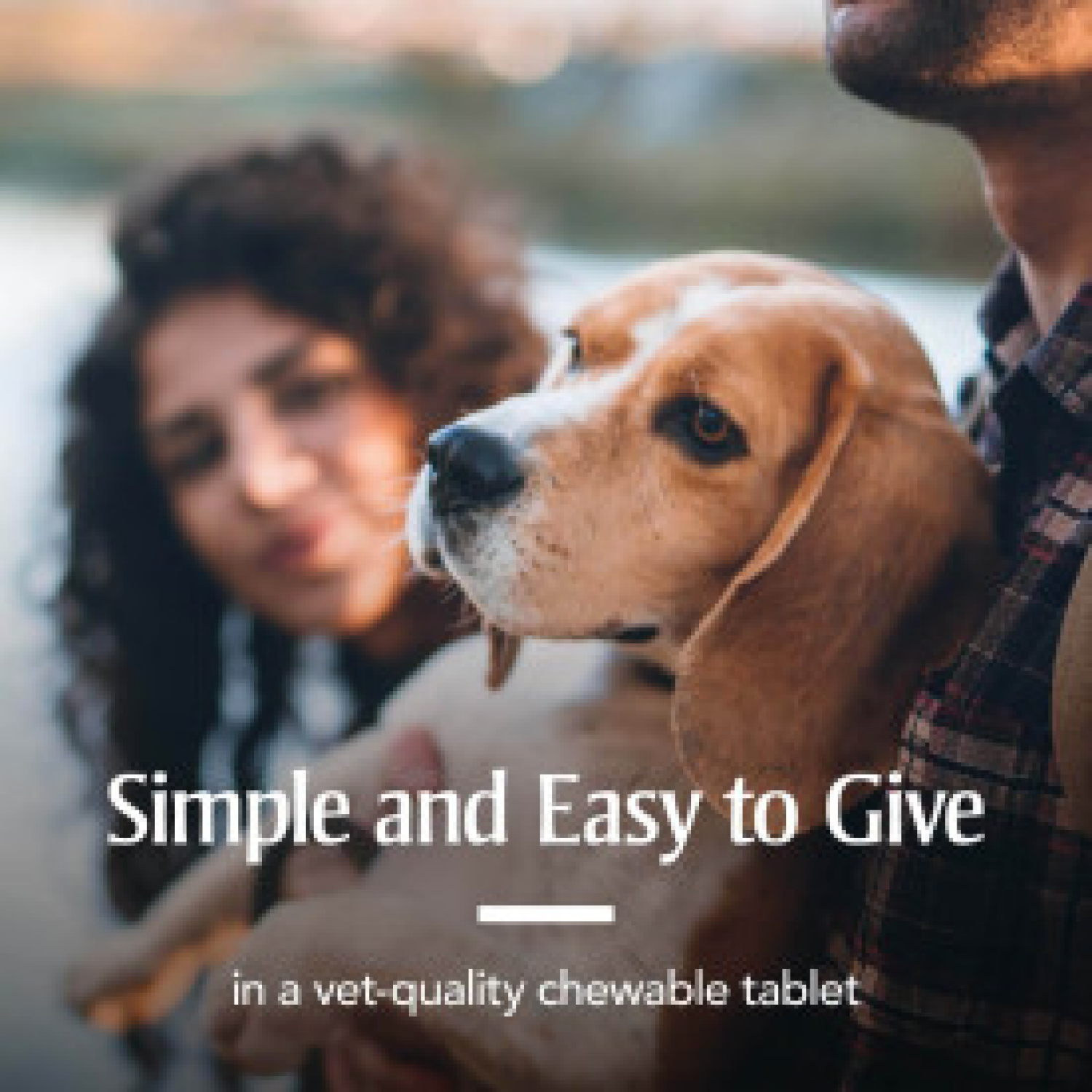 slide 7 of 7, Pa 7 Way Sm Dewormer Dog 2Ct, 2 ct