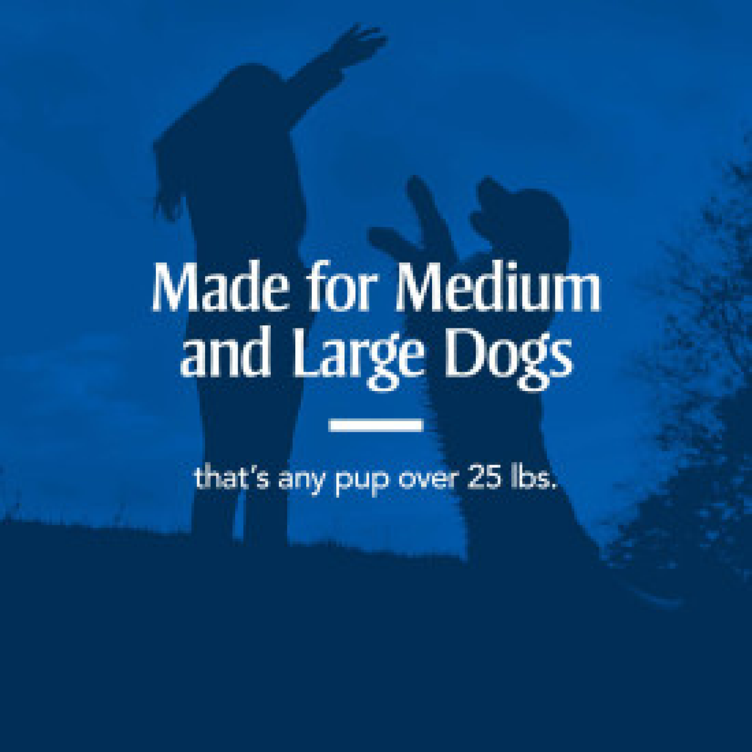 slide 6 of 7, Pa 7 Way Lg Dewormer Dog 2Ct, 2 ct