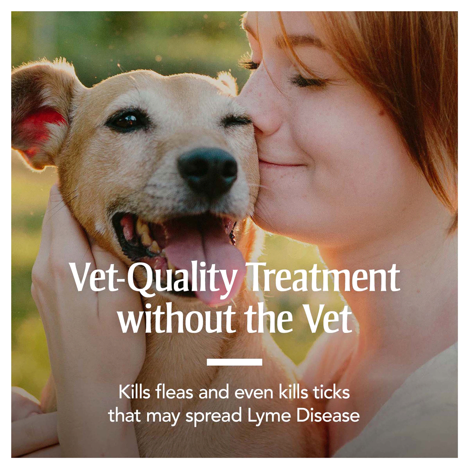 slide 2 of 5, PetArmor F&T Carpet Powder 16OZ, 16 oz