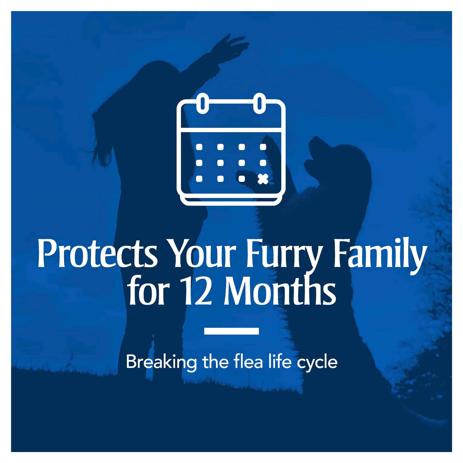 slide 3 of 5, PetArmor F&T Carpet Powder 16OZ, 16 oz