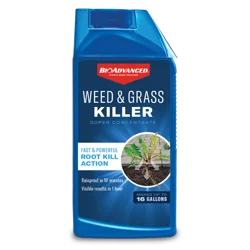 BioAdvanced Weed & Grass Killer, Super Concentrate, 32 oz