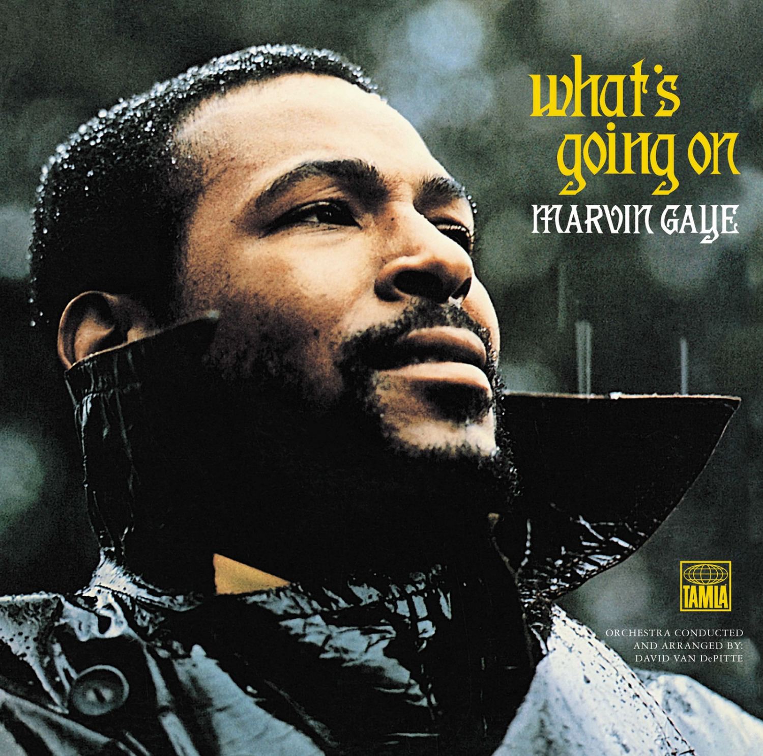 slide 1 of 1, Marvin Gaye - What's Going On (Vinyl), 1 ct