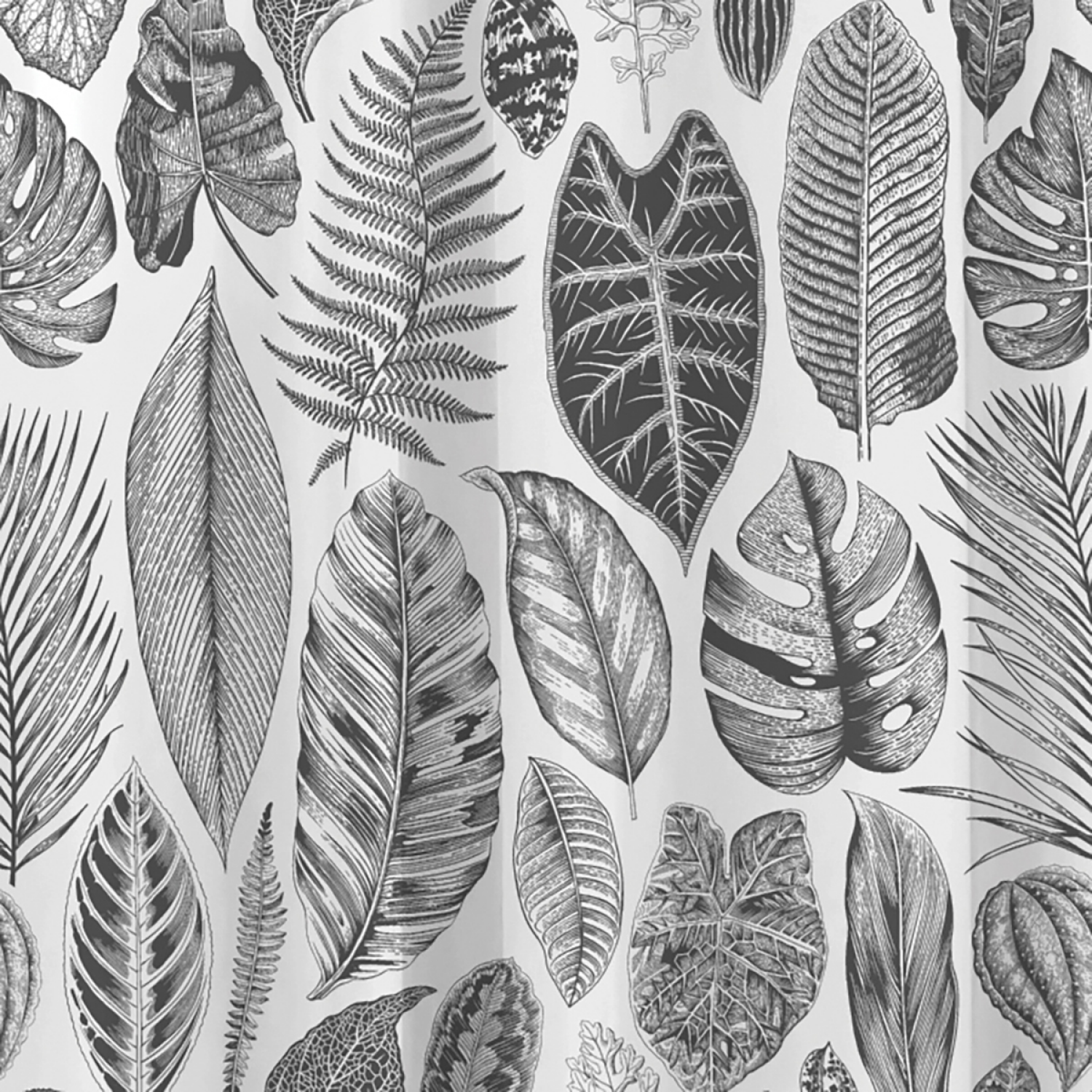 slide 2 of 5, Zenna Home Etched Leaves PEVA Shower Curtain 1 ea, 1 ct