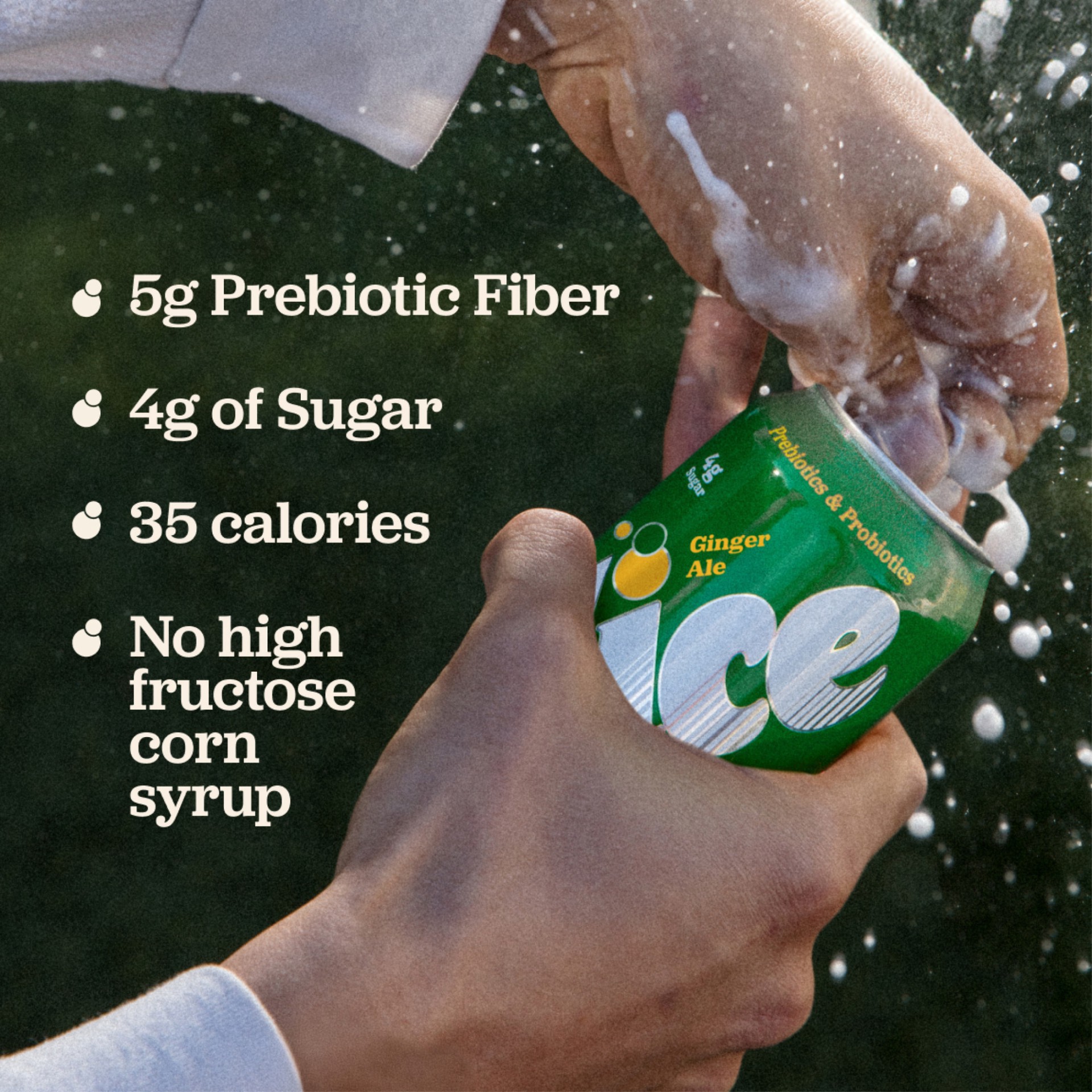 slide 5 of 7, Slice Ginger Ale 12oz/12pk, 12 fl oz