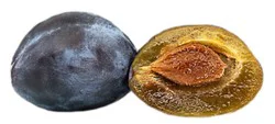 Plums Prune