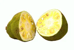 Jackfruit Green