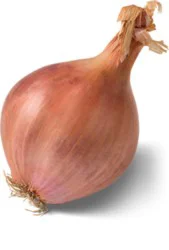 Onions Shallots