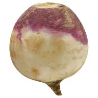 Turnips