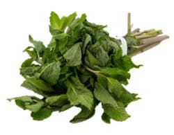 Mint Bunch