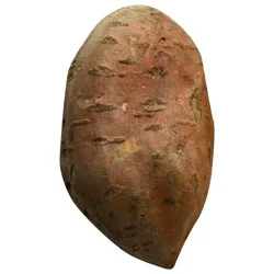 White Sweet Potato
