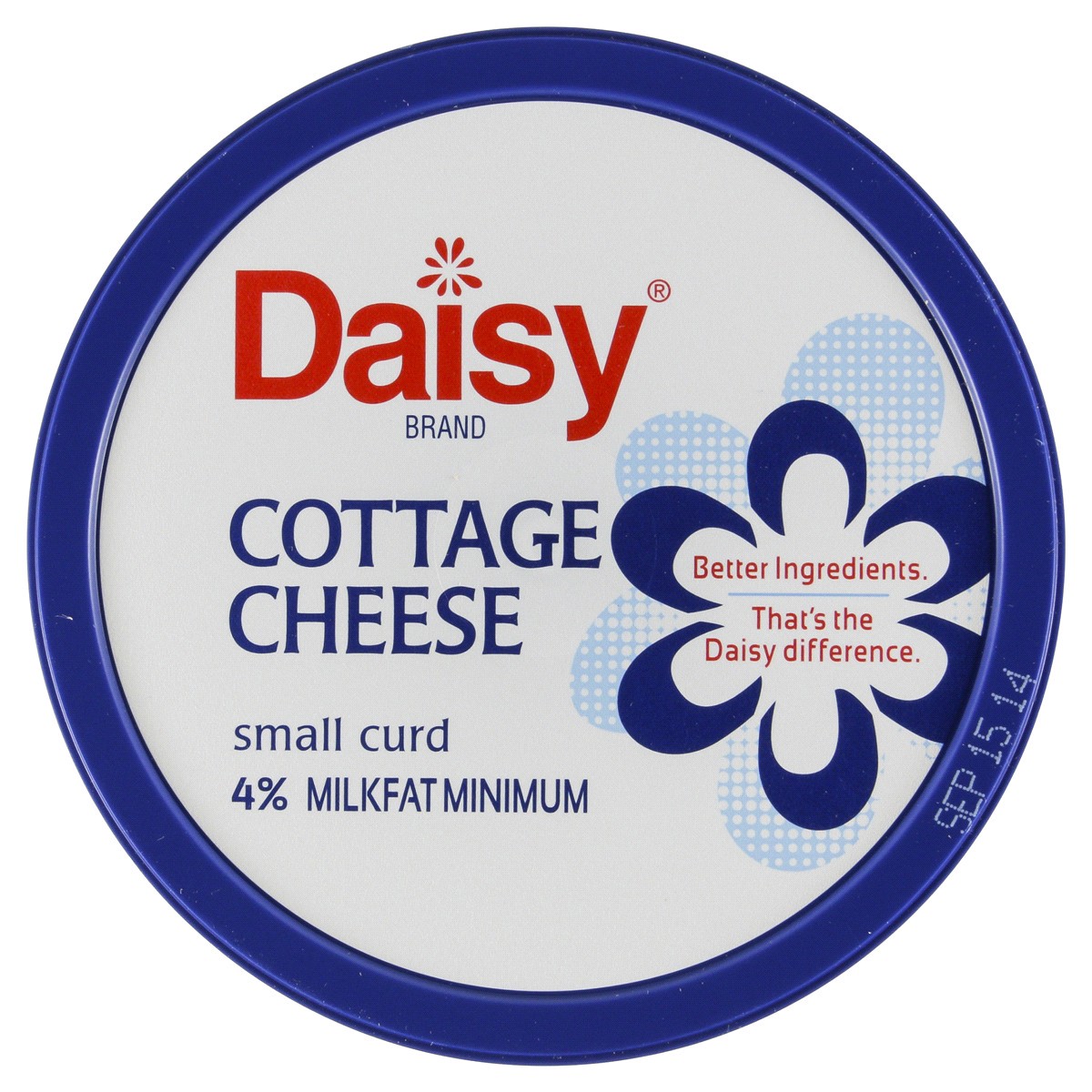 slide 9 of 17, Daisy Cottage Cheese, 24 oz