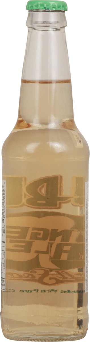 slide 11 of 14, Dublin 1891 Ginger Ale Craft Soda- 12 fl oz, 12 fl oz