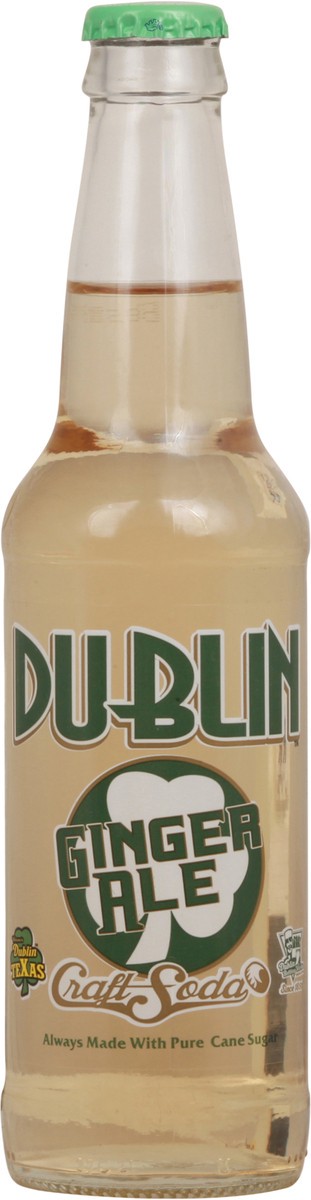 slide 12 of 14, Dublin 1891 Ginger Ale Craft Soda- 12 fl oz, 12 fl oz