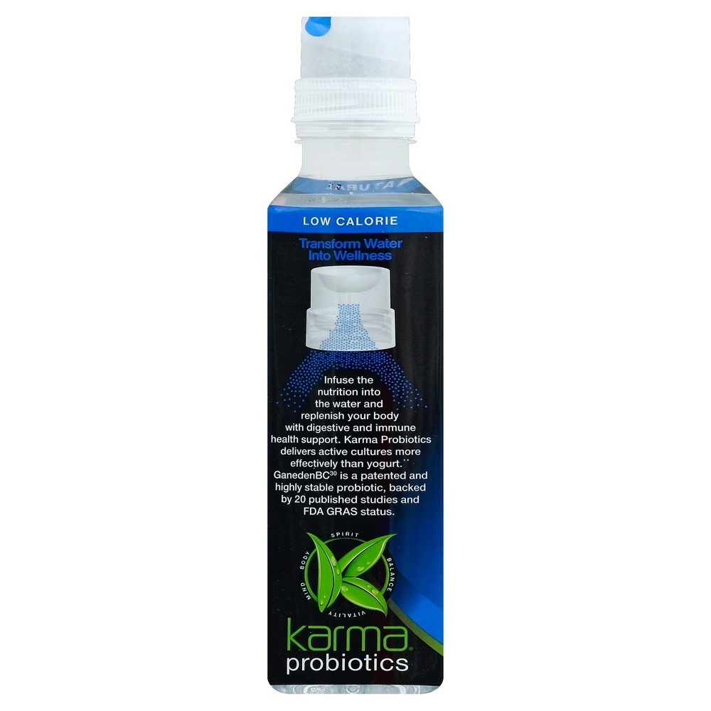 slide 8 of 8, Karma Blueberry Lemonade Wellness Water, 18 fl oz