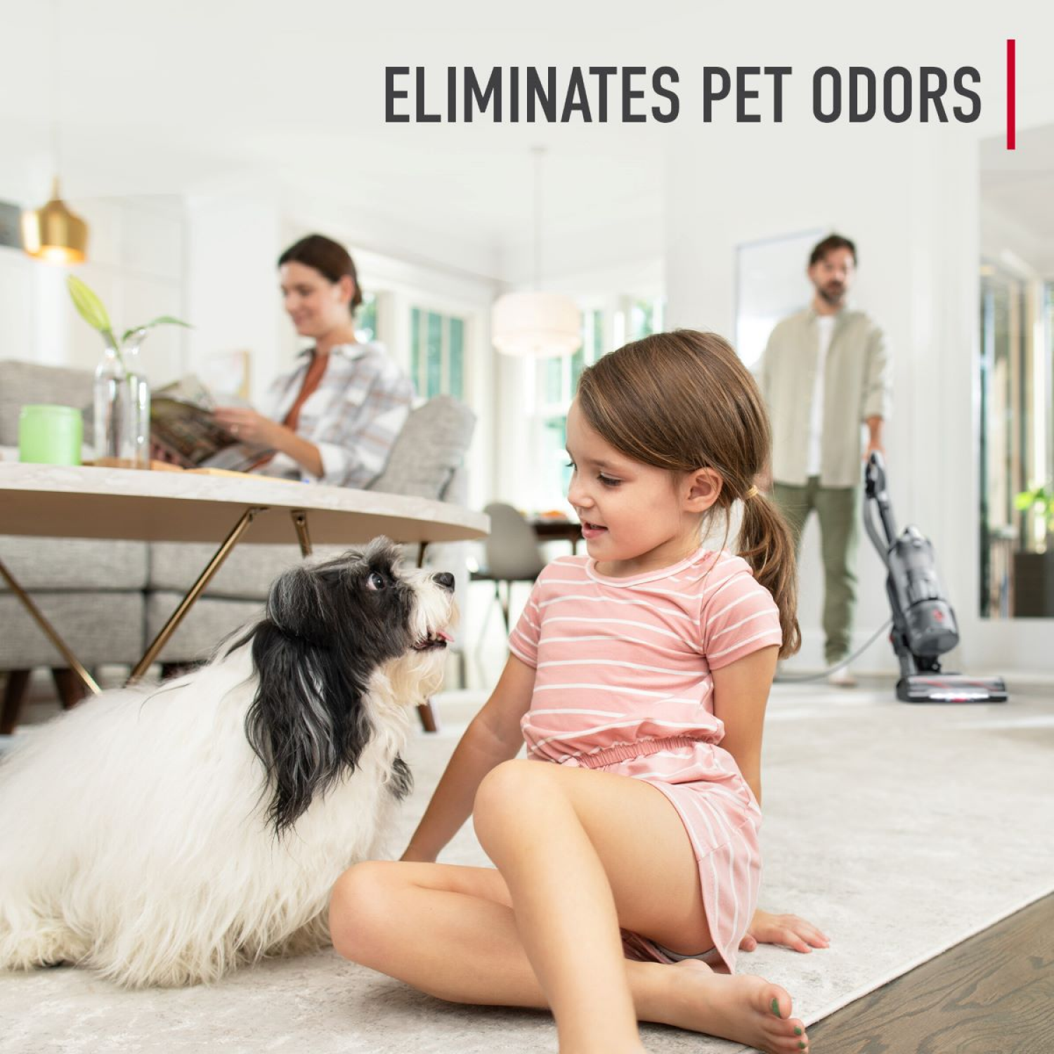 slide 4 of 4, Hoover Pet Carpet Powder, 1 ct