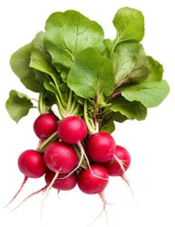 Radish Red Bulk
