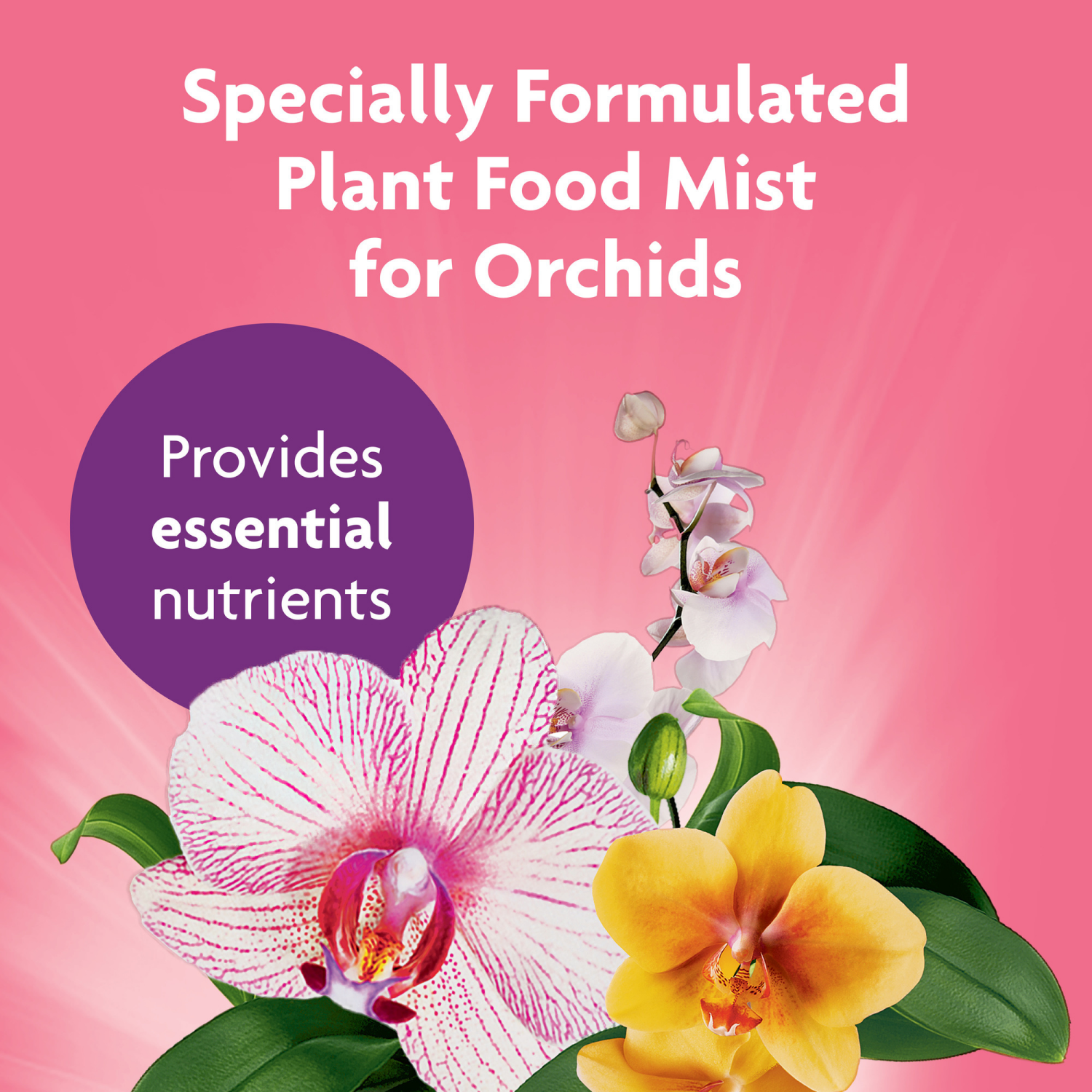 slide 2 of 2, Miracle-Gro Orchid Plant Food Mist 8 oz, 8 oz