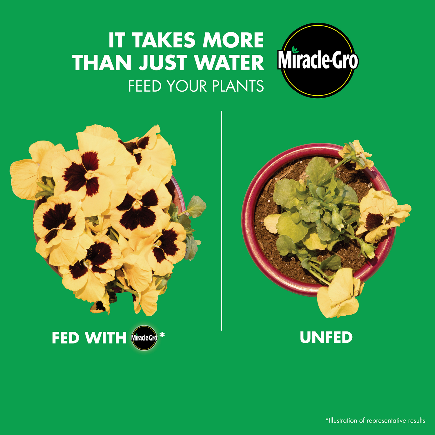 slide 4 of 4, Miracle-Gro LiquaFeed Bloom Booster Flower Food, 2 ct