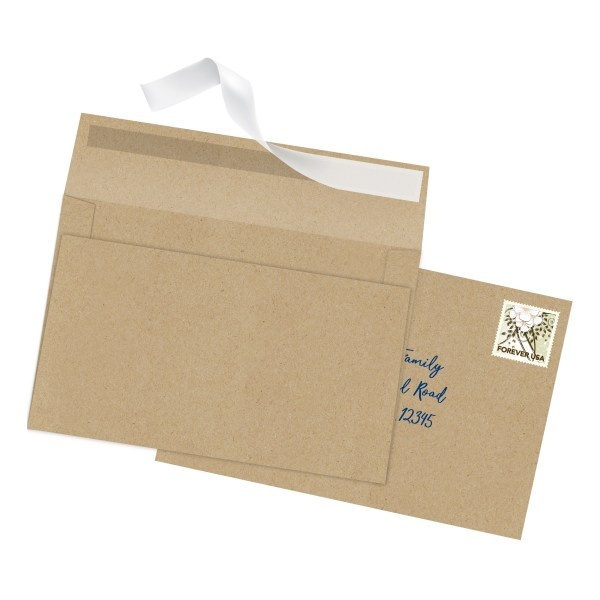 slide 4 of 5, Office Depot Brand Greeting Card Envelopes, A9, Clean Seal, Kraft, Box Of 25, 25 ct