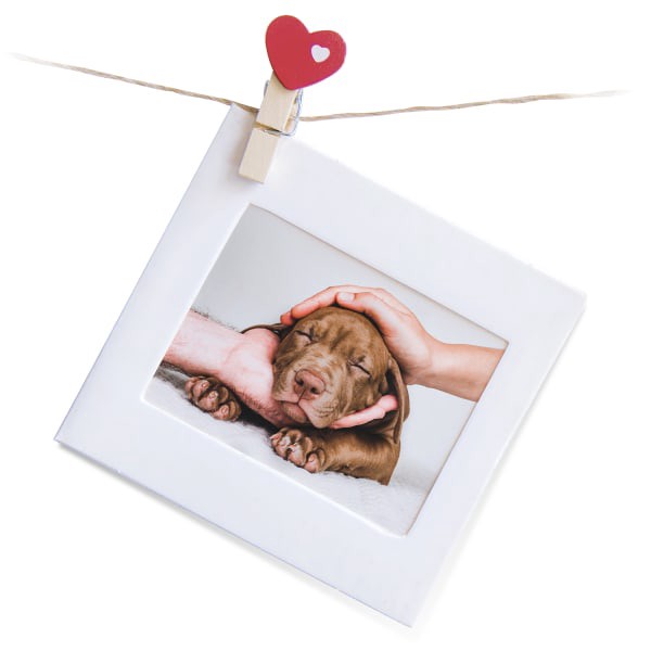 slide 3 of 6, Office Depot Standard Photo Paper, Glossy, Letter Size, 7 Mil, 100 ct; 8 1/2 in x 11 in