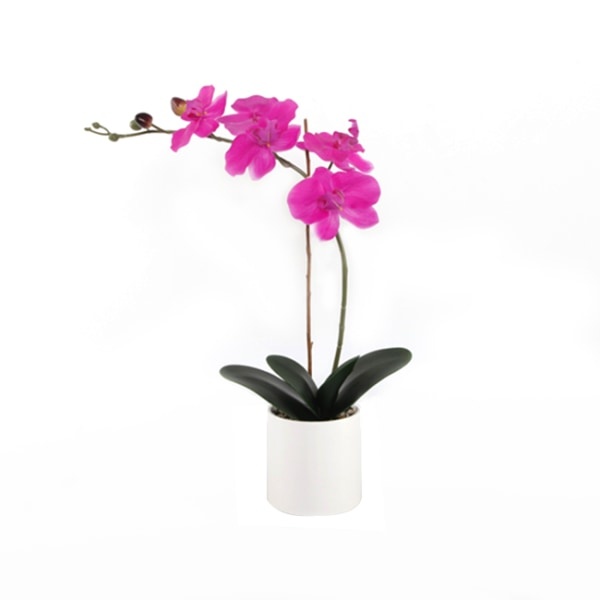 slide 2 of 2, Realspace 18-1/2''H Real Touch Orchid In Ceramic Pot, White, 1 ct