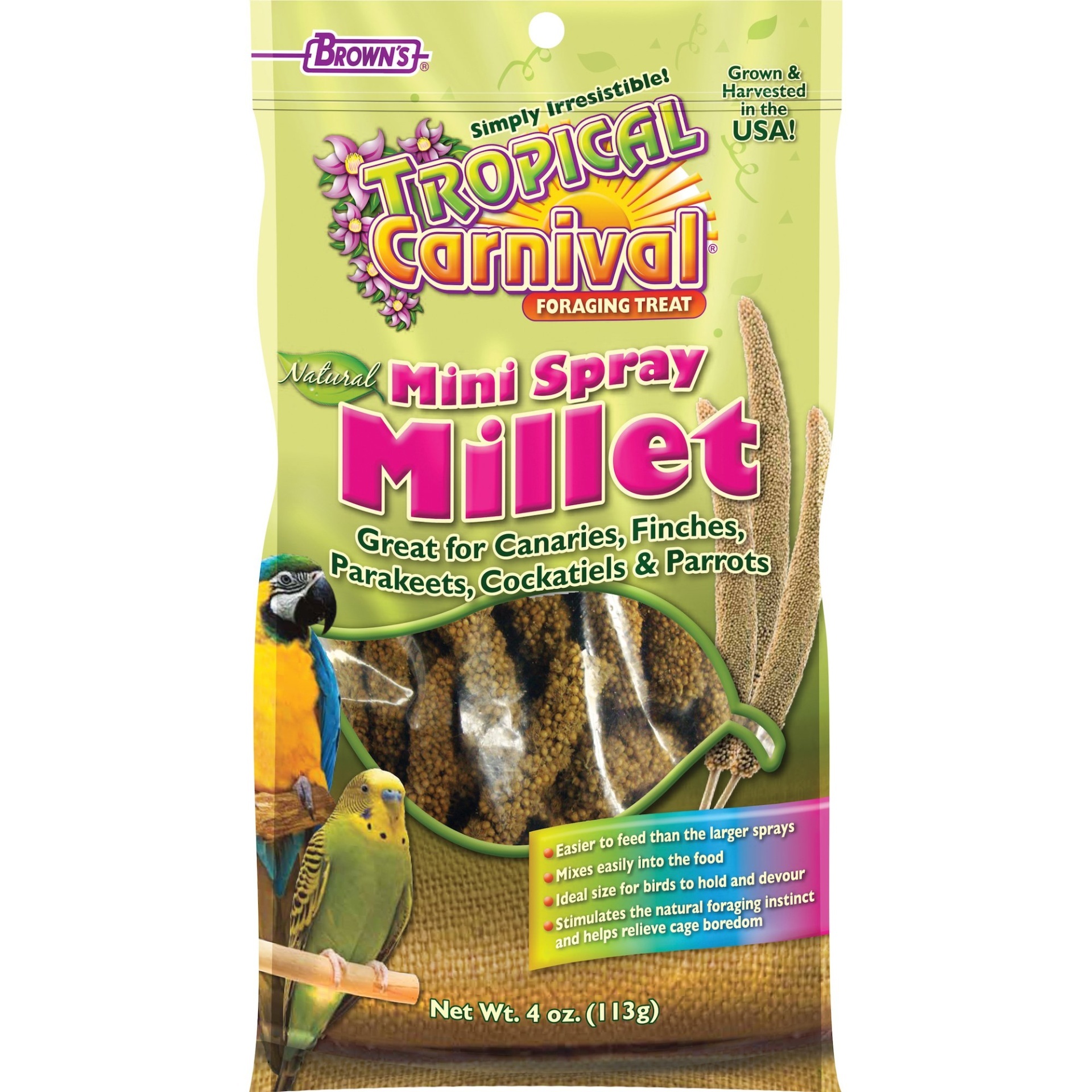 slide 1 of 1, Brown's Tropical Carnival Natural Mini Spray Millet Bird Treats, 4 oz