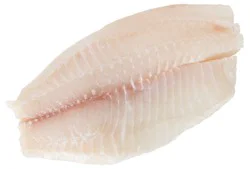 Farm-Raised Fresh Tilapia Fillet