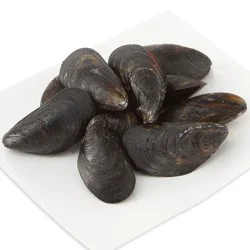 Mussels