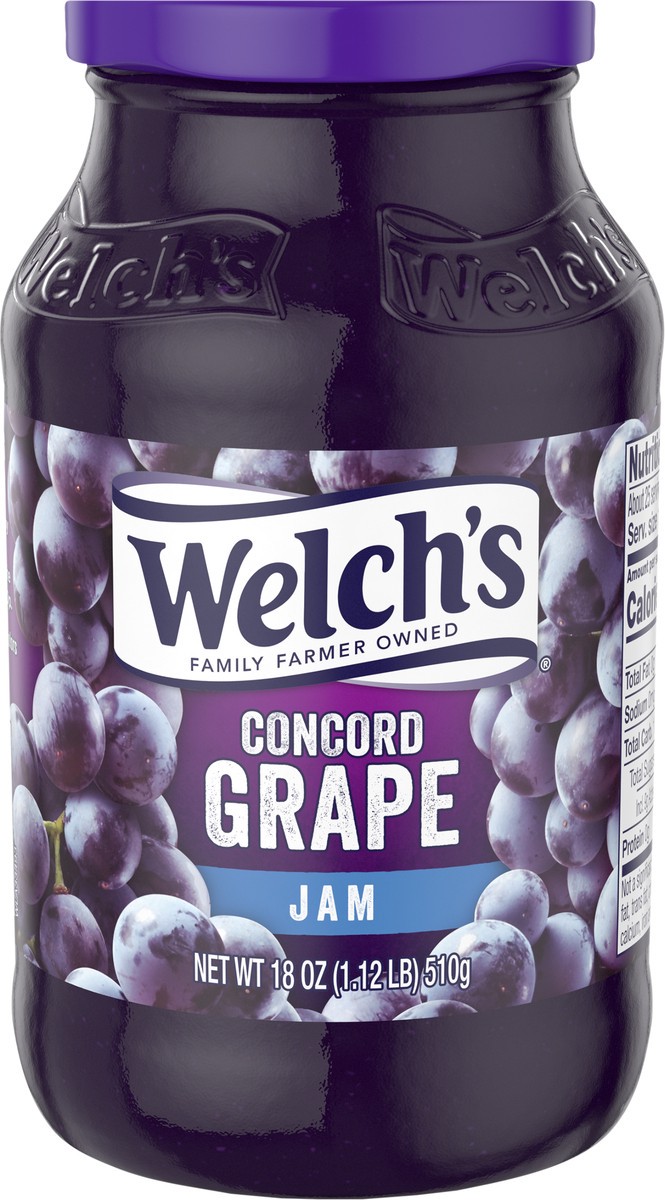 slide 4 of 5, Welch's Concord Grape Jam, 18 oz Jar, 18 oz