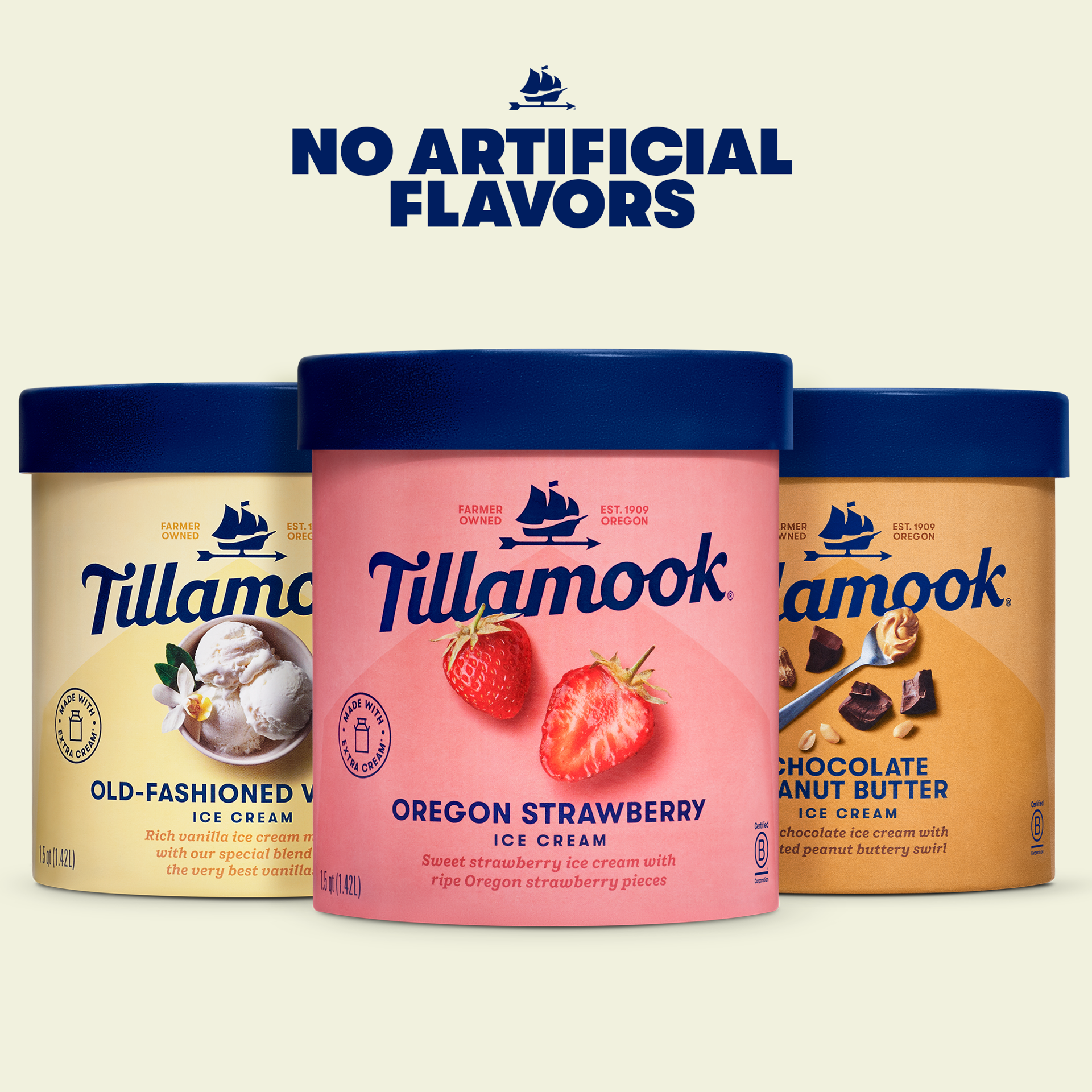 slide 2 of 5, Tillamook Chocolate Peanut Butter Ice Cream - 48oz, 48 oz