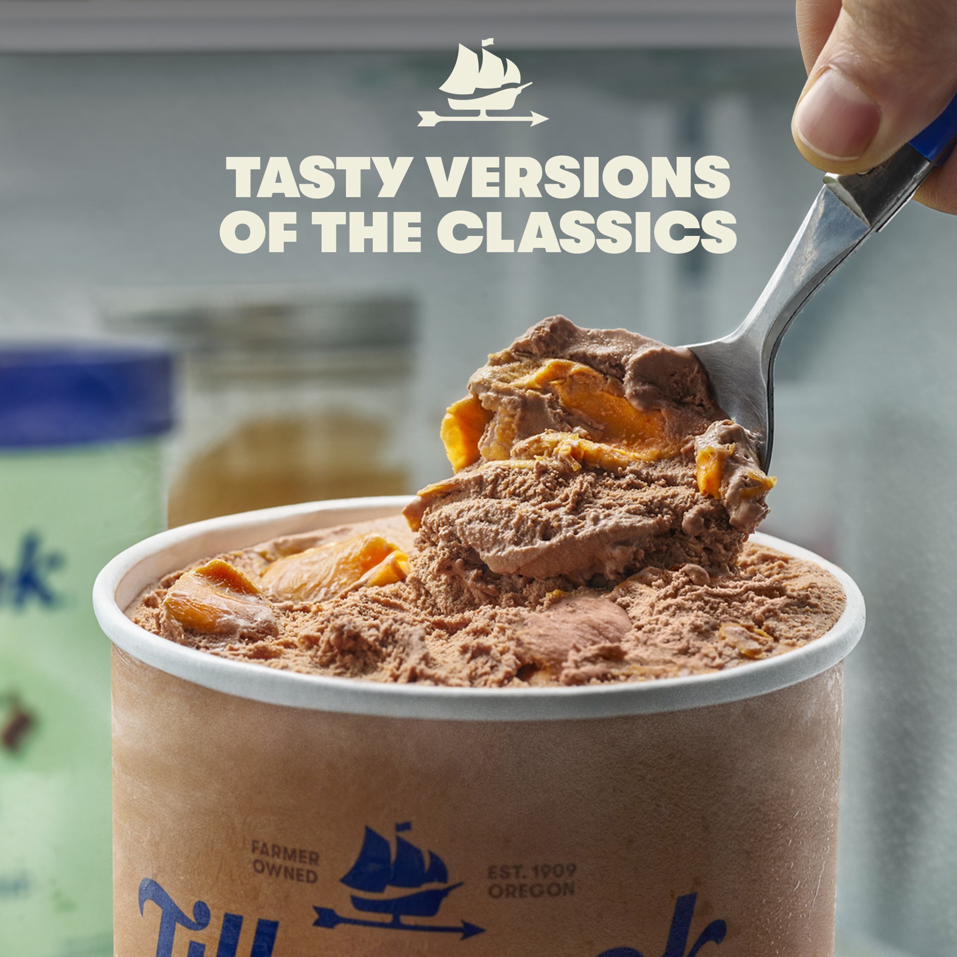 slide 3 of 5, Tillamook Chocolate Peanut Butter Ice Cream - 48oz, 48 oz