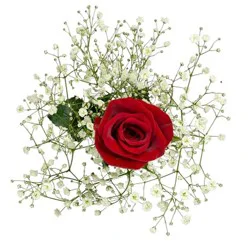 Single Stem Rose Bouquet